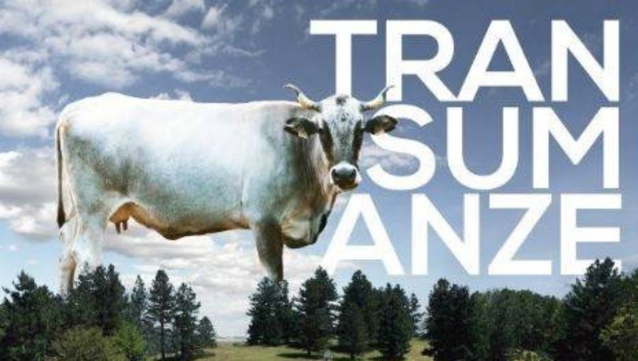 transumanze