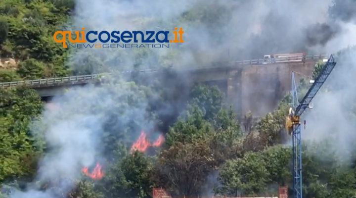 VIDEO - Cosenza, in fiamme collina a Sant'Antonio dell'Orto vicino la Statale 107 56 Incendio Collina3