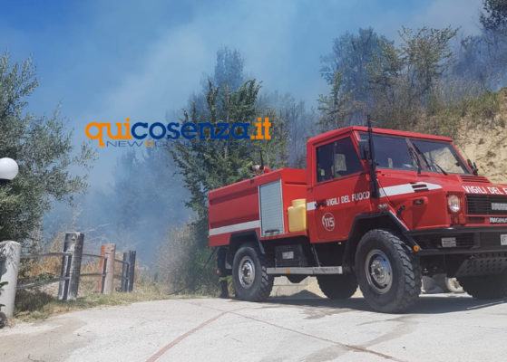 VIDEO - Cosenza, in fiamme collina a Sant'Antonio dell'Orto vicino la Statale 107 57 Incendio Collina4