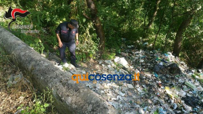 FOTO - Rifiuti nei boschi di Pedace. Gli incivili beccati dalle videotrappole dei Carabinieri 54 Pedace dicarica forestale2