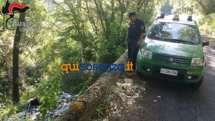FOTO - Rifiuti nei boschi di Pedace. Gli incivili beccati dalle videotrappole dei Carabinieri 55 Pedace dicarica forestale3