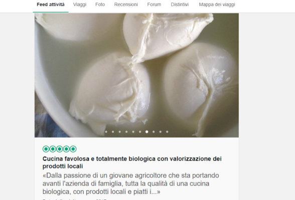 Recensioni false e scritte da fake. Censurato e multato il portale Tripadvisor 54 tripadvisor