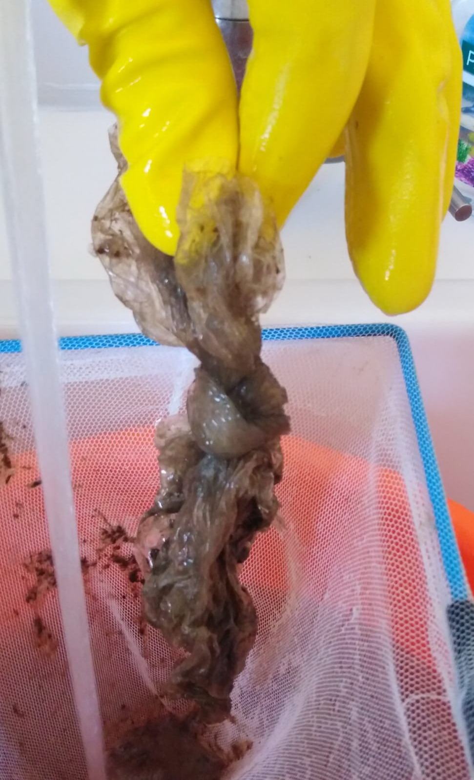 5 G.diF . ROAN Vibo Valentia