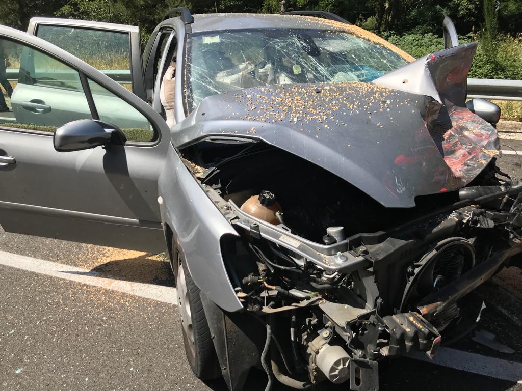 7fdecaae af3b 4208 9a43 56a59fb886fb