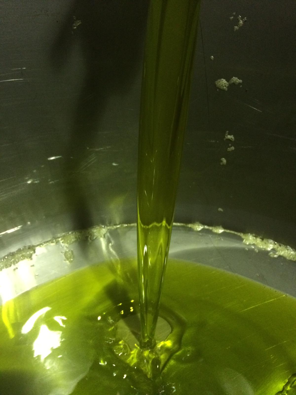 81ae4c9c fe5b 4c13 8204 1a29de6424e0