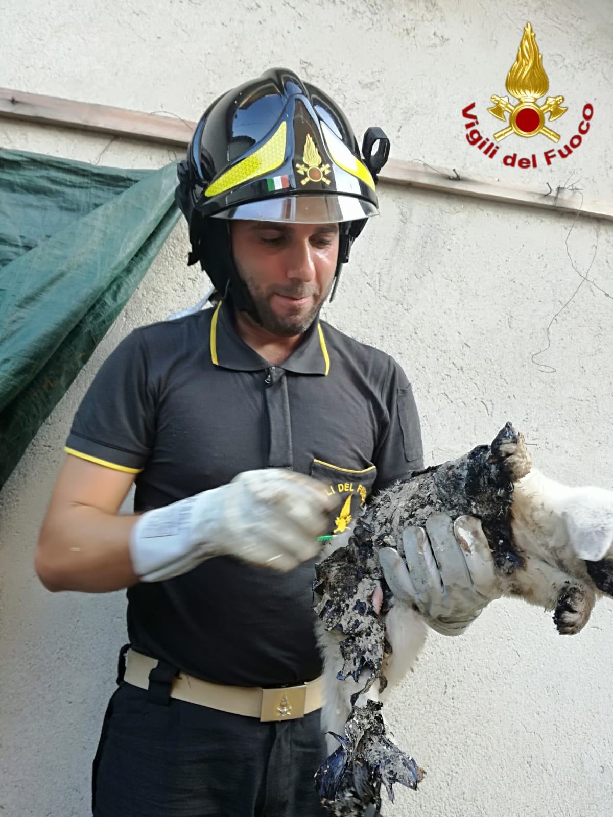 99796bbb d15d 46f6 8b77 e3412ad3c586