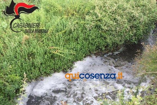 Carabinieri forestali crosia depurazione3