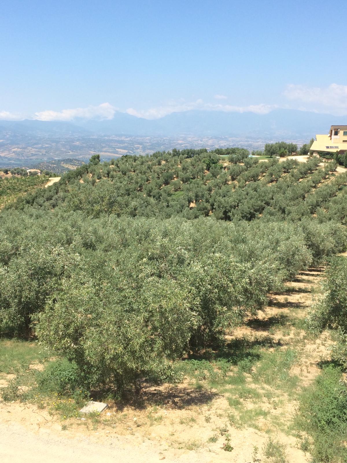 WhatsApp Image 2019 07 31 at 14.20.56