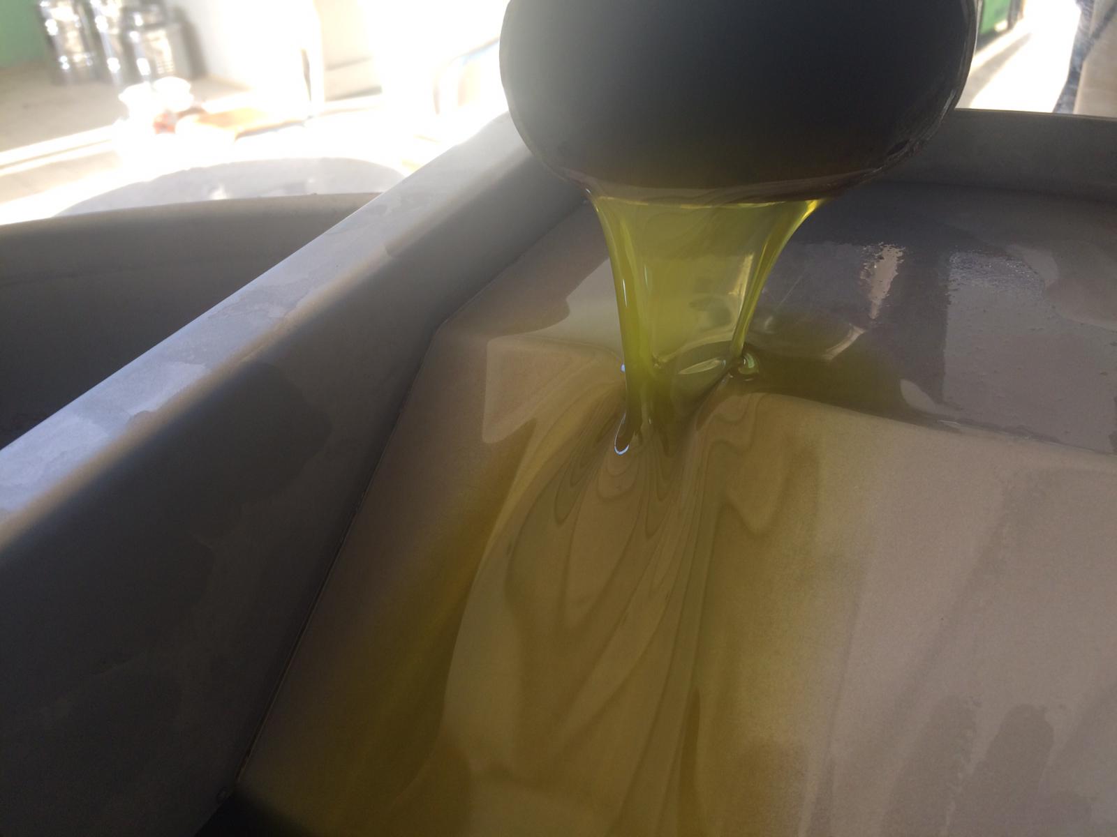 a0b938ad e46f 4a62 9521 be9f17368ce9