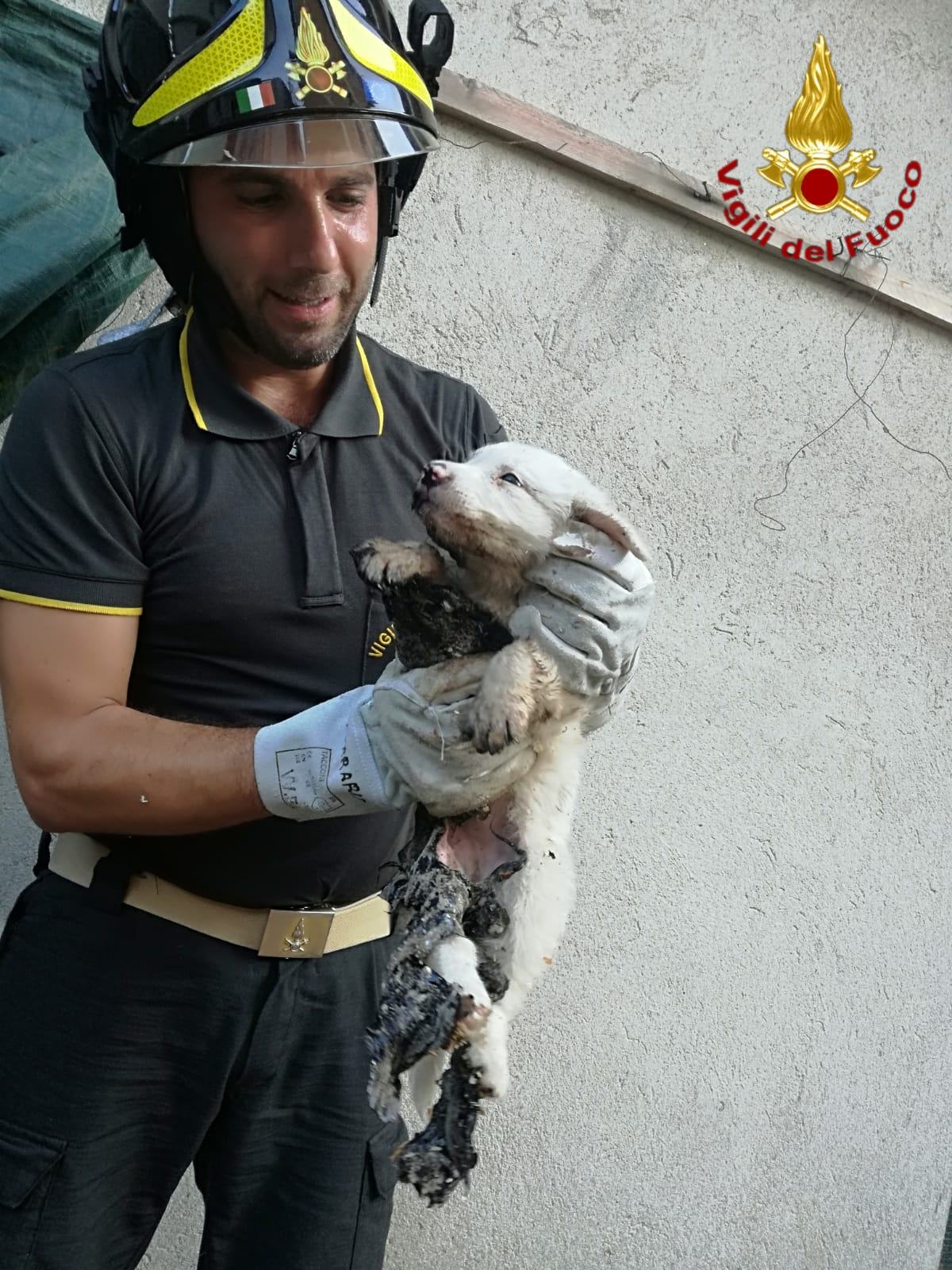 bb68a3b6 e121 4d33 94b4 427af0e4c294