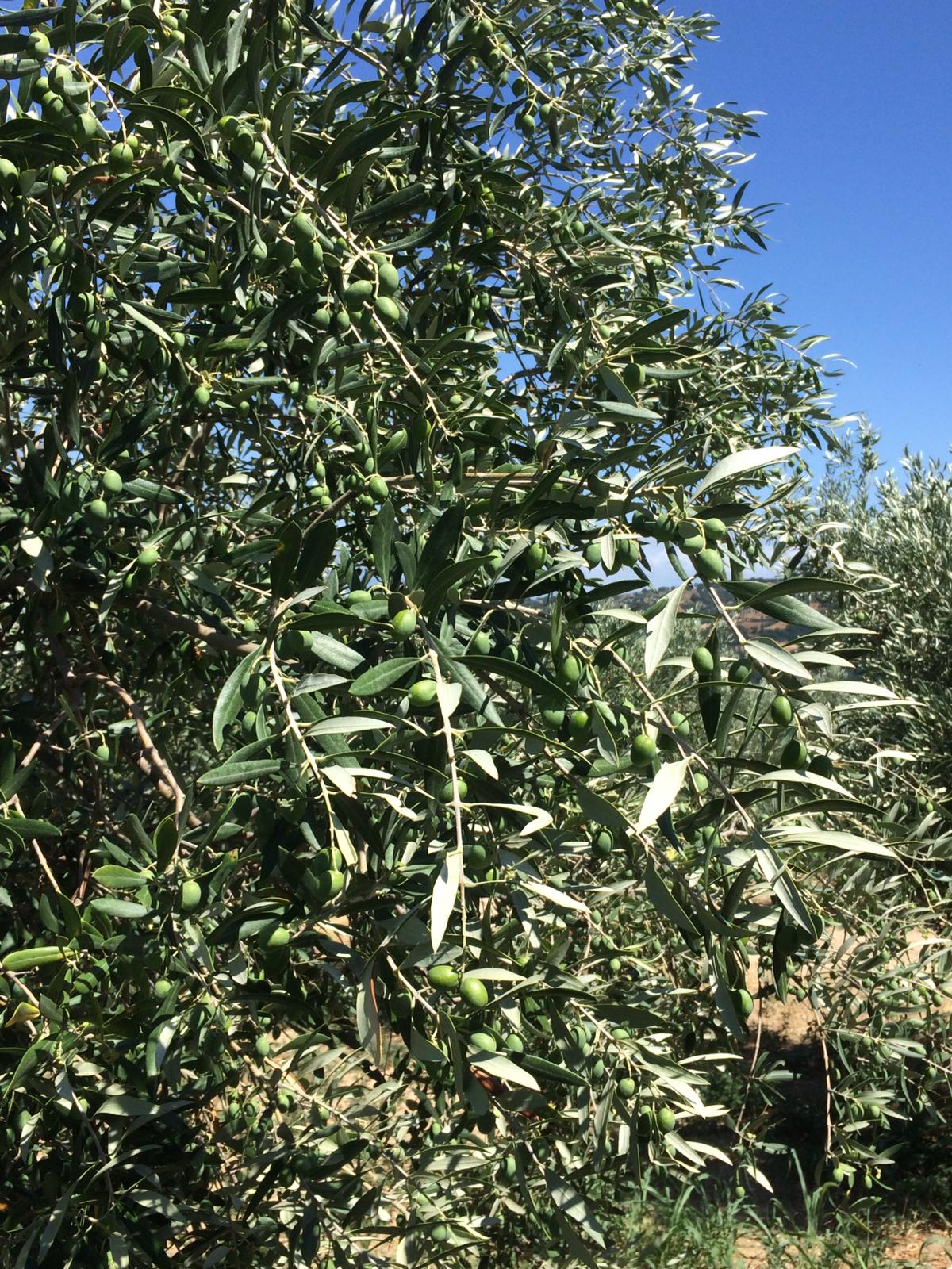 c91a8885 7bd9 4e0f aa5f 2097ed2547ab