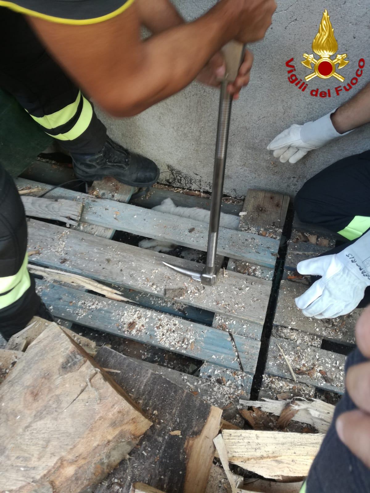 ea770fb7 24bc 489a a5d2 b8ee87eea0cd