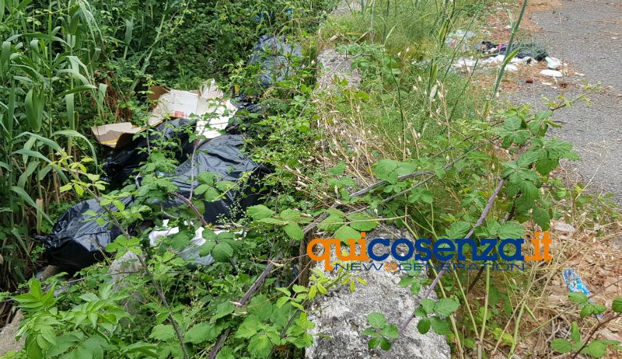 rifiuti torrente rende 04