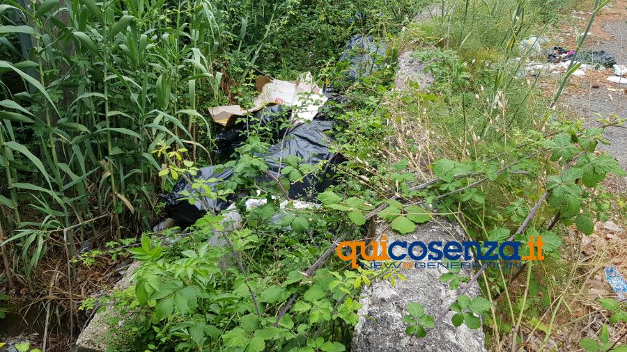 rifiuti torrente rende 06