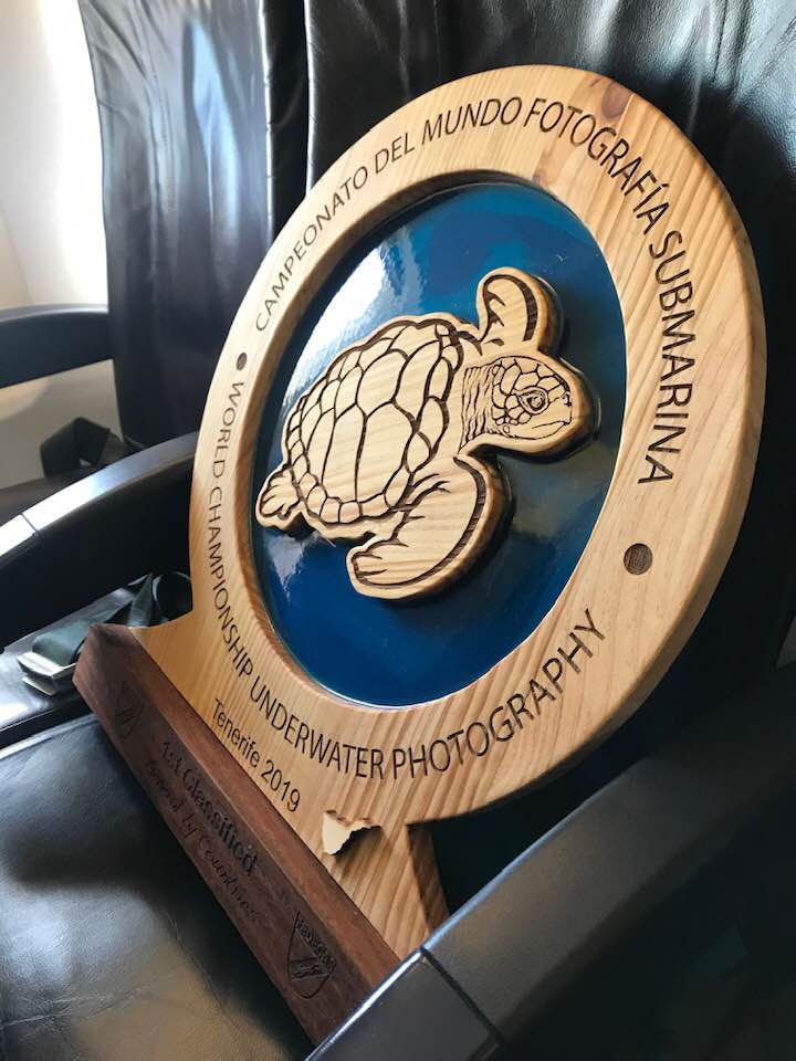 70747634 10215431160355688 8245025353509109760 n