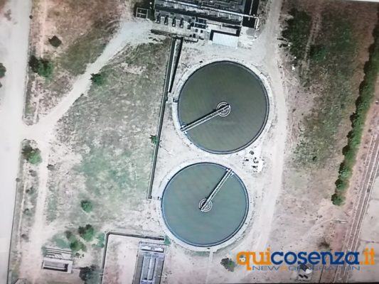 7depuratore rende coda di volpe geko