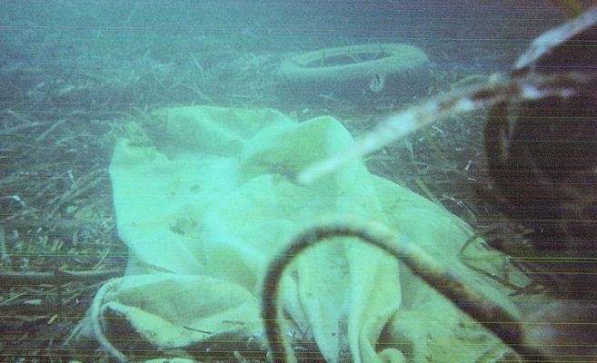 Isola di Dino pulizia fondali3