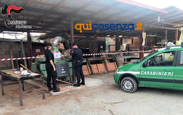 Montalto Uffugo, sequestrata una segheria abusiva. Denunciato il proprietario 54 Segheria forestali2