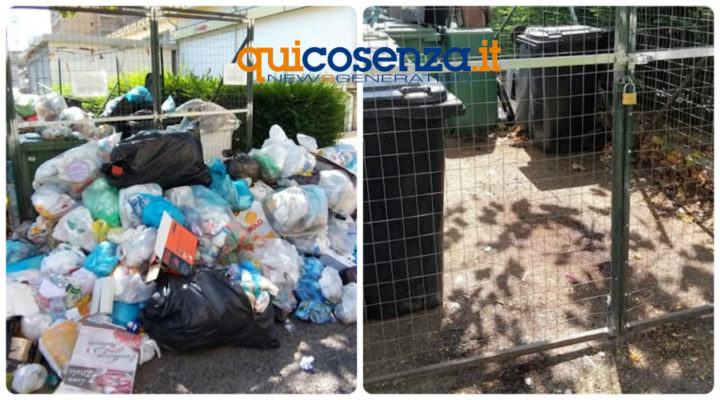 Spazzatura Cosenza pulizia2