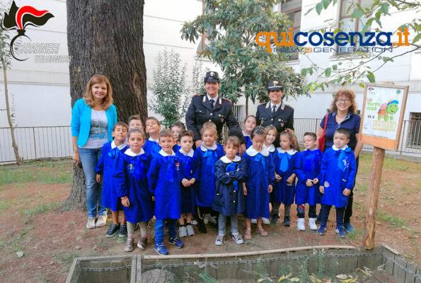 (FOTO) Cosenza, nate tre tartarughe nel terrario della scuola “Zumbini” 54 Tartarughe Cosenza2
