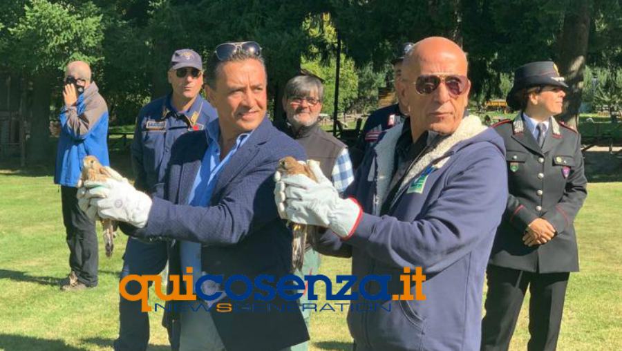 Uccelli 01 cras rende