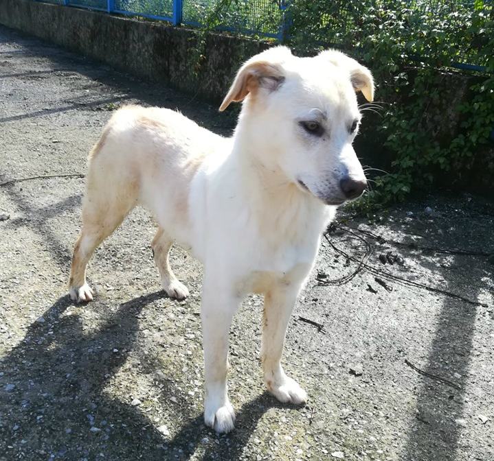 Byron un dolce birbantello. La storia: lascia il lavoro e per 57 giorni cerca la sua Katie 55 byron