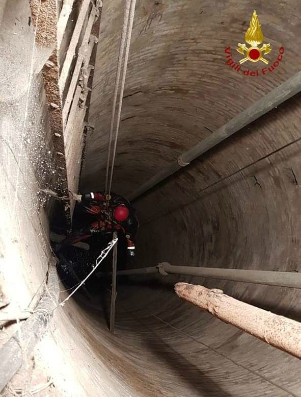 vigili fuoco salvano cane reggio 04