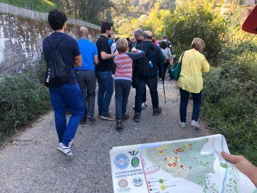 CAMMINATAULIVI CR 271019 9