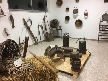 FESTAOLIONUOVO PALUDI 261019 18