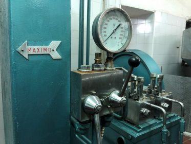 FESTAOLIONUOVO PALUDI 261019 2