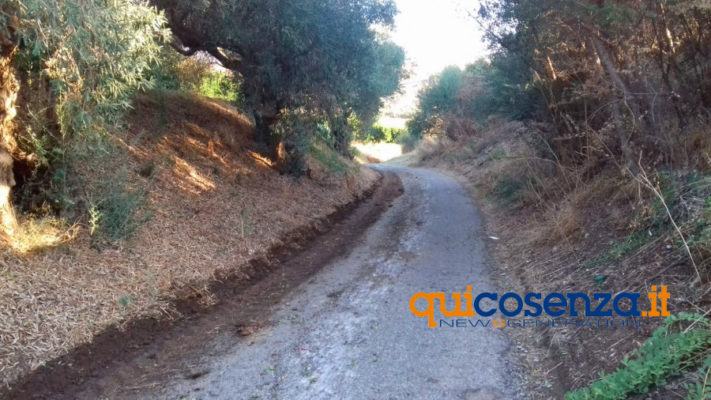 Pulizia strade interpoderali terranova04