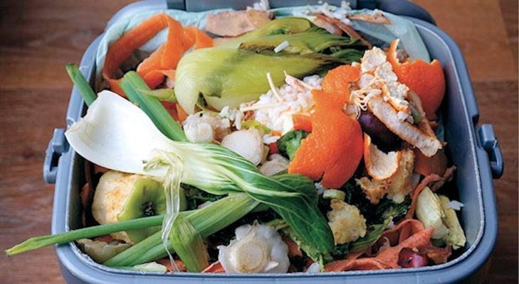 In Calabria 125 milioni di euro di cibo buttato nell'immondizia 53 Srpeco alimentare2