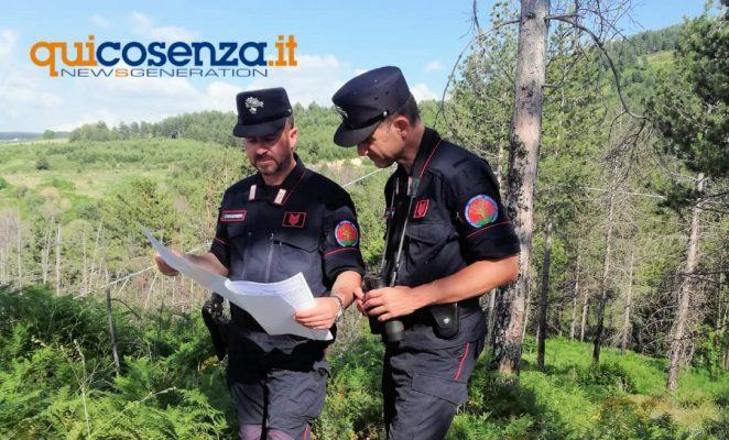 forestali San Giovanni in Fiore