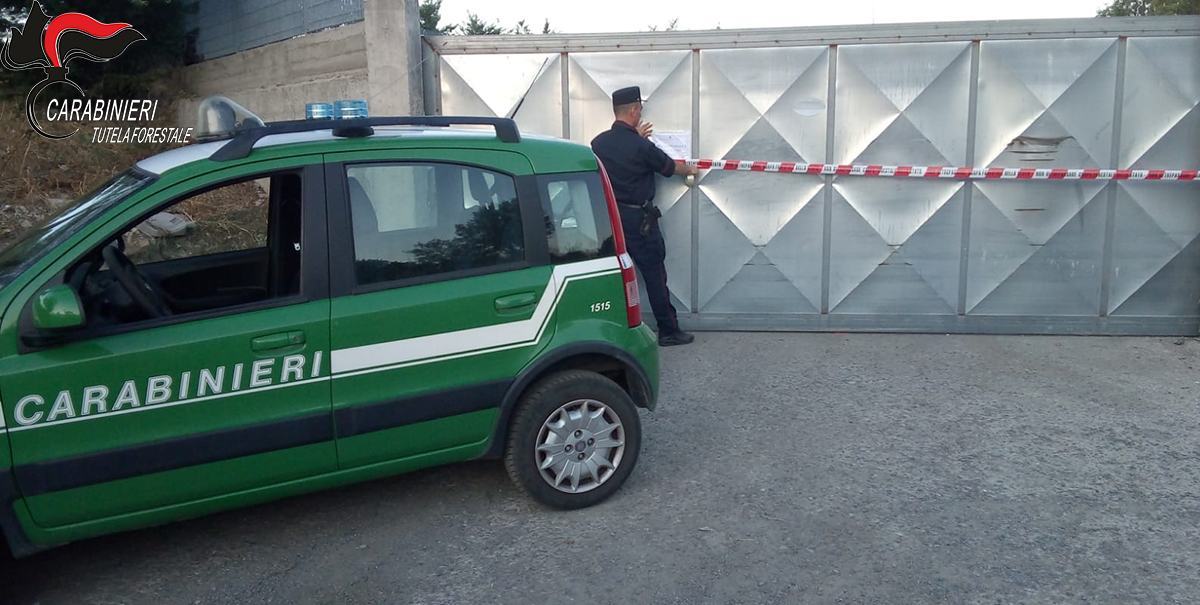 isola ecologica roseto