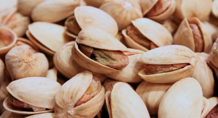 pistacchi