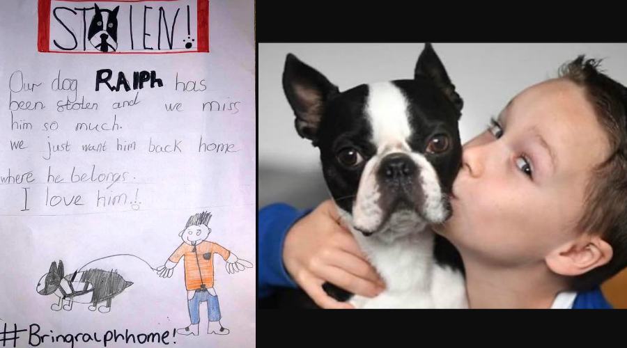 Gli occhi belli di Chanel. Gli rubano il cane, bimbo disegna i volantini per ritrovarlo 55 ralph e camron