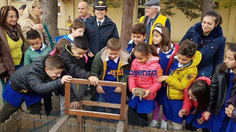 Iniziativa Tartarughe carab forestali castrovillari