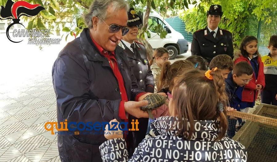 Iniziativa Tartarughe carab forestali corigliano