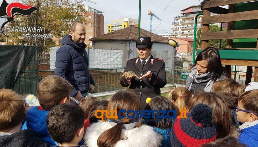 Iniziativa Tartarughe carab forestali cosenza