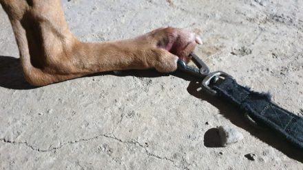 PHOTO 2019 11 19 19 14 41 2