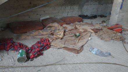 PHOTO 2019 11 19 19 14 41