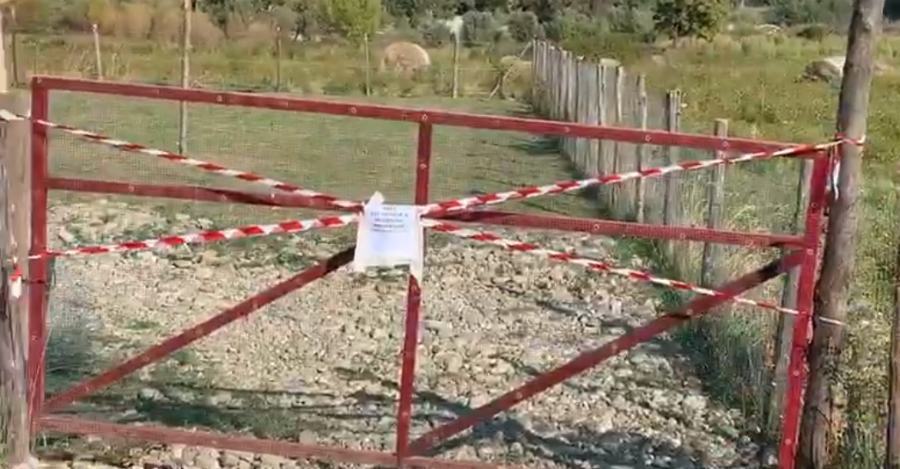 box cani patissa sequestro 02