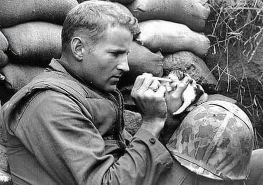 Sun e la voglia di vivere vincono contro la crudeltà. La storia: il soldato e la gattina 56 gattina e soldato