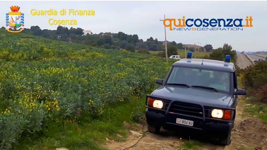 Operazione Mosca bianca3