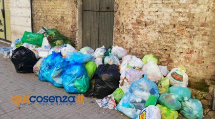 Spazzatura Cosenza04