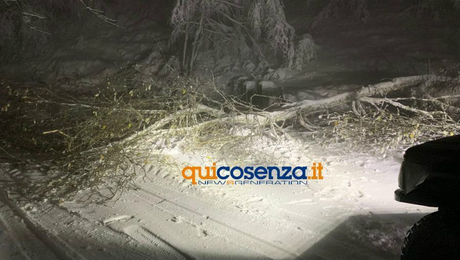 albero fuoristrada ss 648 01