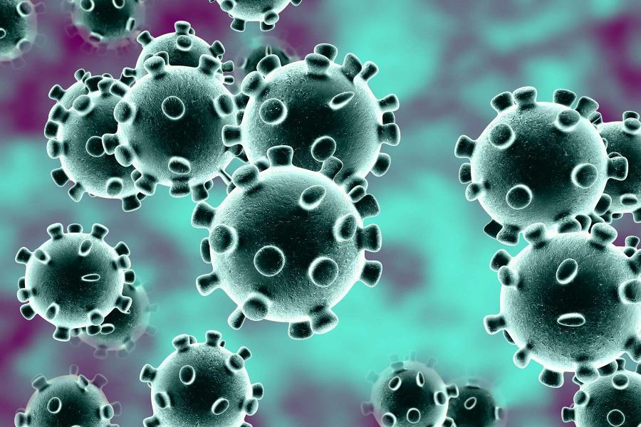 Coronavirus, per gli esperti 8 milioni di italiani potrebbero aver già avuto il Covid-19 54 Corona virus