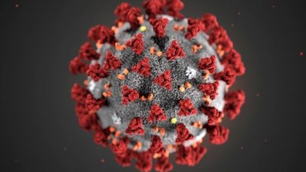 Coronavirus micro