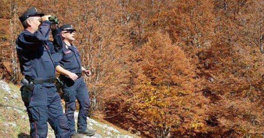 cc forestale pollino