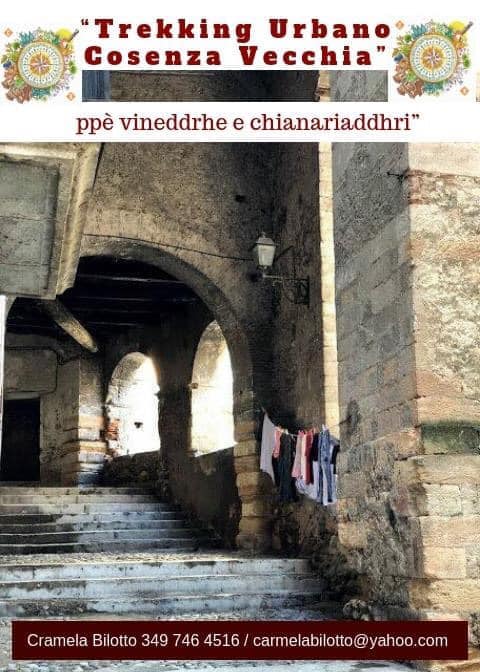 84086613 482173349384973 4105583835524104192 n